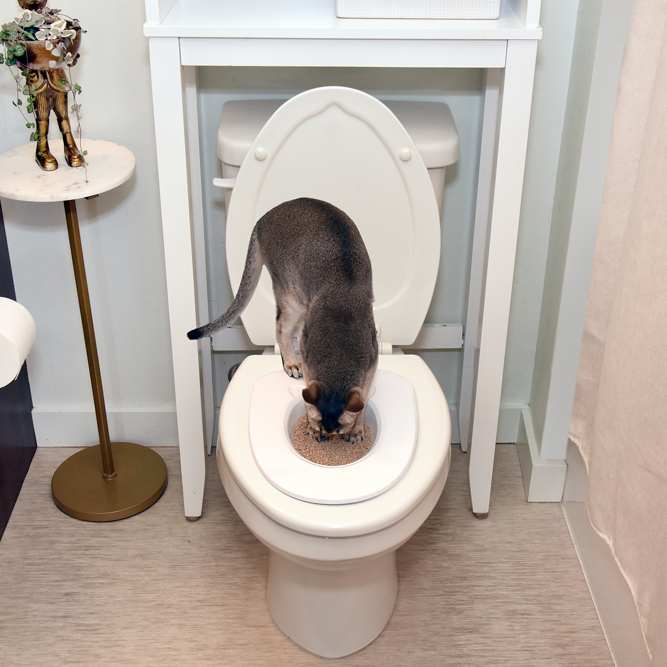 The Cat Throne System - Best Cat Toilet Training Kit